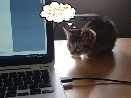 f:id:o-factory:20171227160626j:image f:id:o-factory:20171227160626j:image