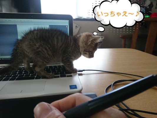 f:id:o-factory:20171227160805j:image f:id:o-factory:20171227160805j:image