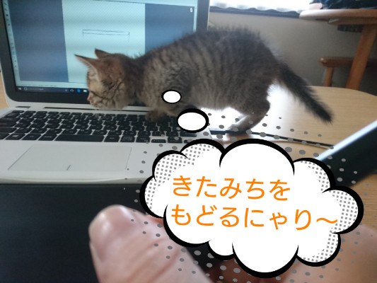 f:id:o-factory:20171227160943j:image f:id:o-factory:20171227160943j:image