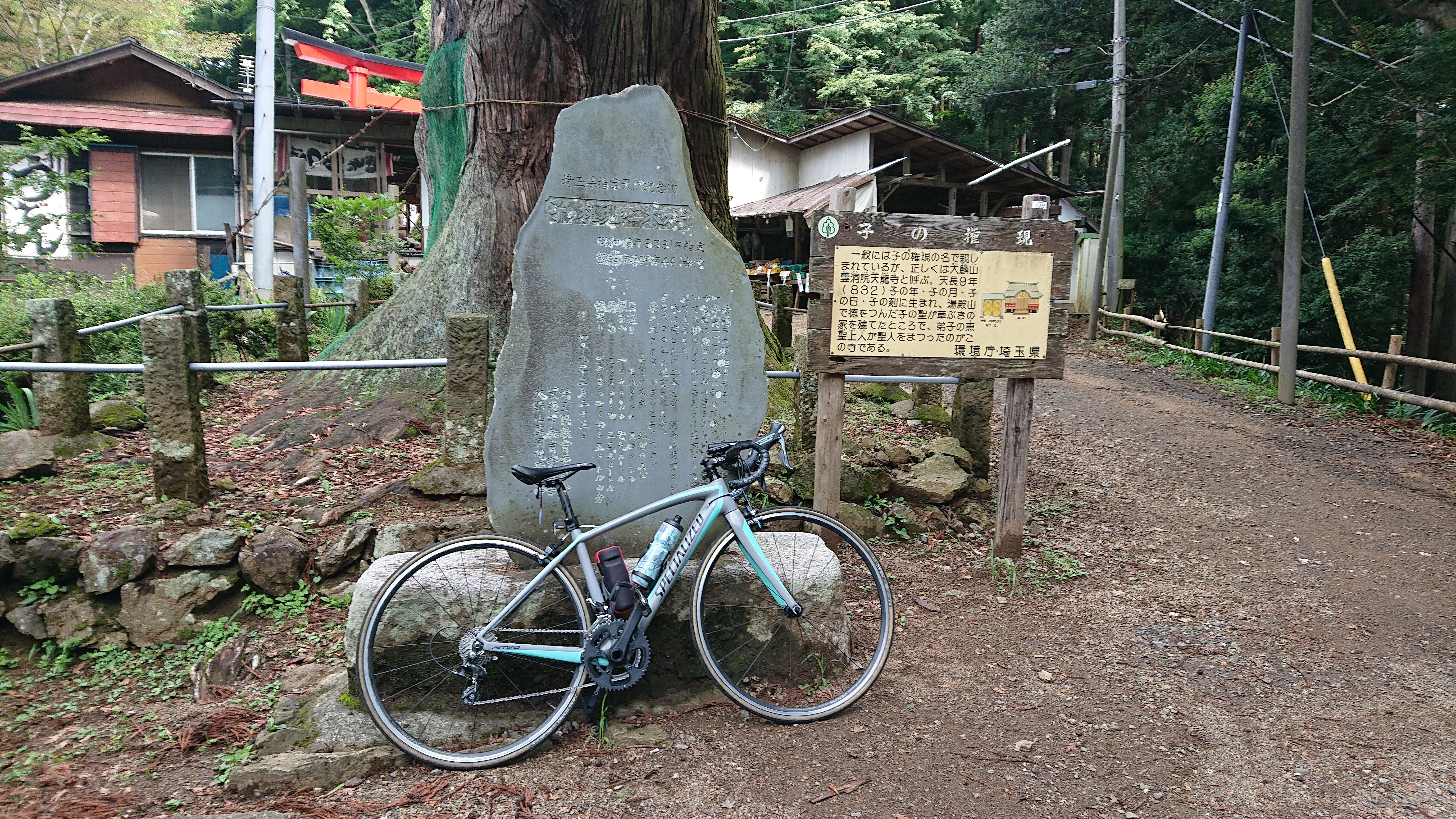 f:id:o-hone-fish:20180830221810j:image