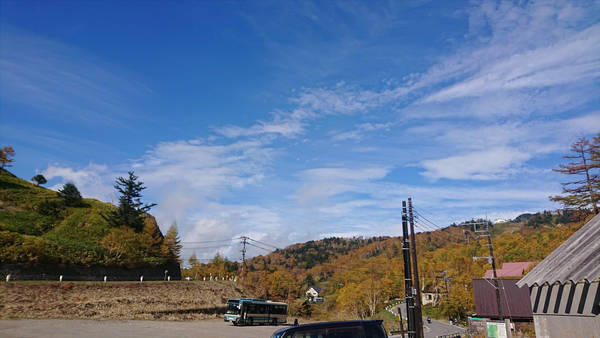 f:id:o-hone-fish:20181110225934j:plain