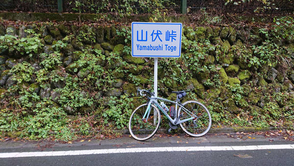 f:id:o-hone-fish:20181110235150j:plain