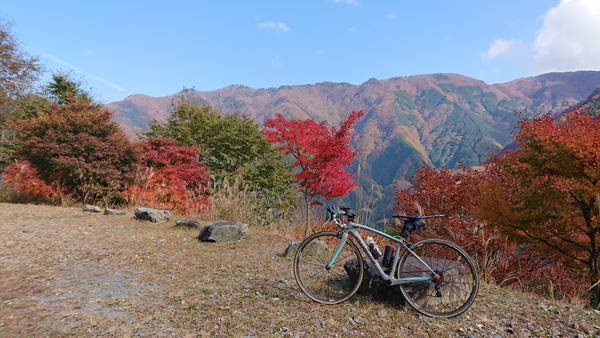 f:id:o-hone-fish:20181110235200j:plain