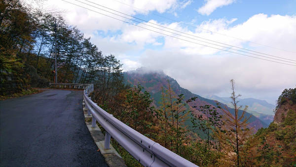 f:id:o-hone-fish:20181110235205j:plain