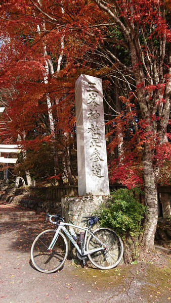 f:id:o-hone-fish:20181110235206j:plain