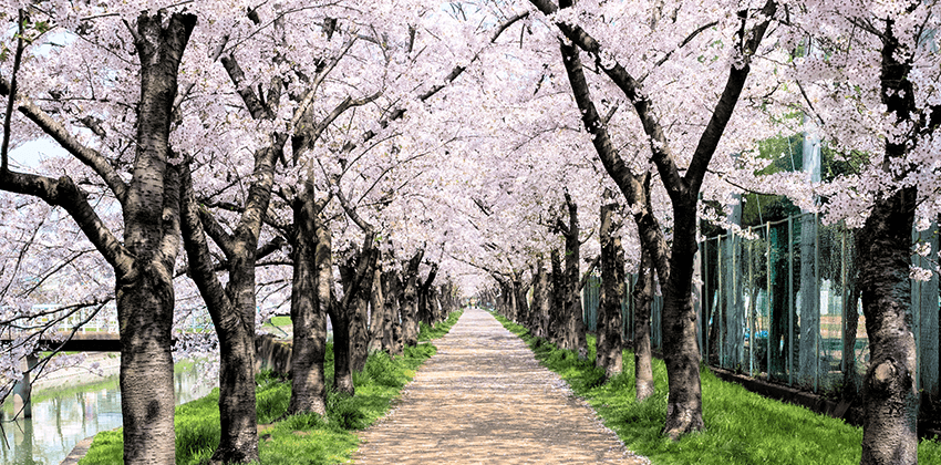 f:id:o-kankan:20190828130430p:plain f:id:o-kankan:20190828130430p:plain
