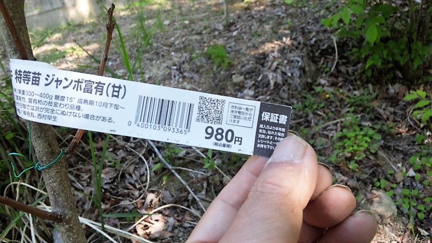 f:id:o-katsumi:20190528121643j:plain