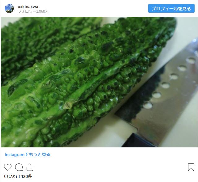 f:id:o-kenya777:20190827170233j:plain