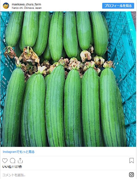 f:id:o-kenya777:20190827170417j:plain