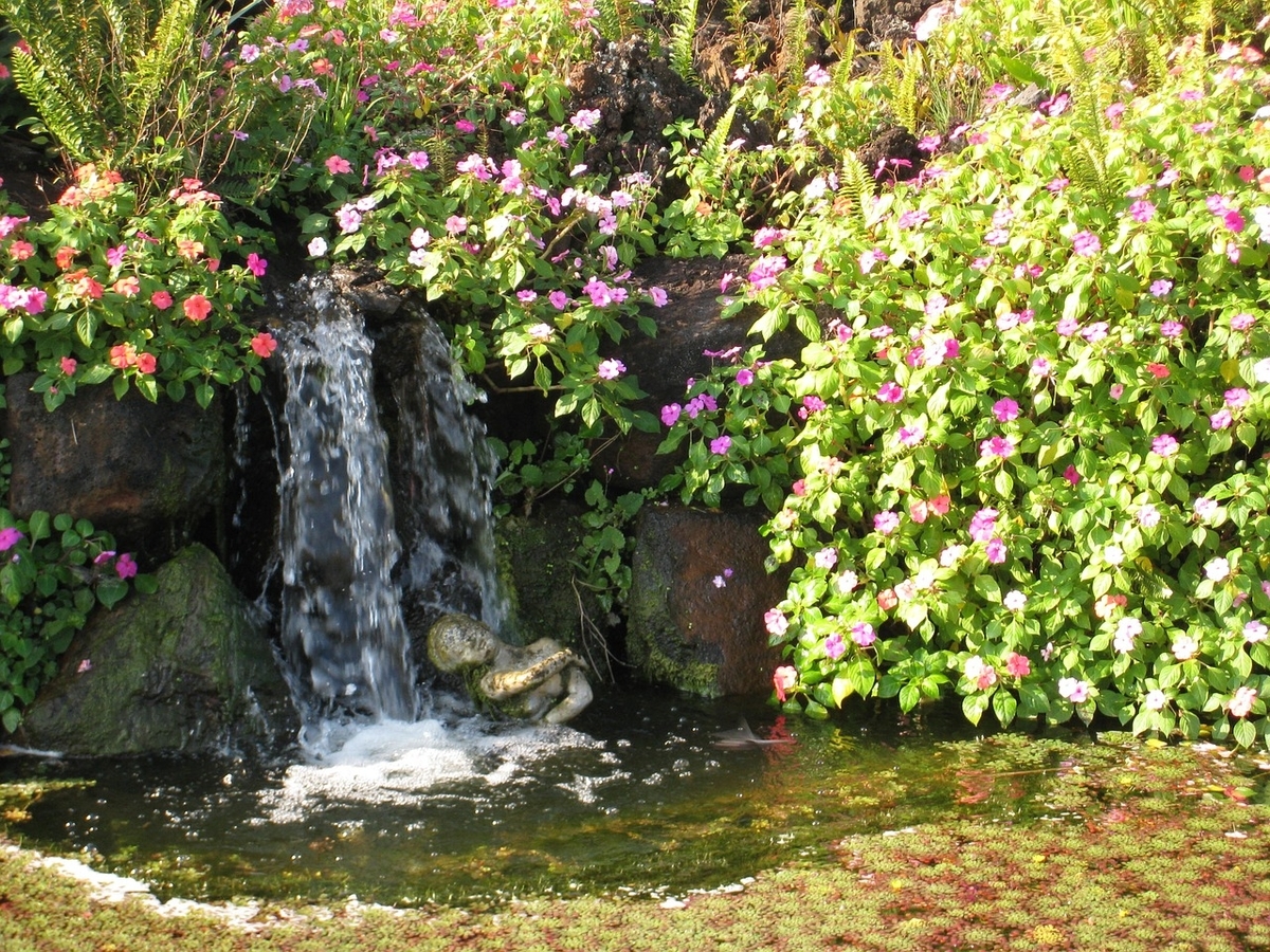 f:id:o-kenya777:20201206134228j:plain