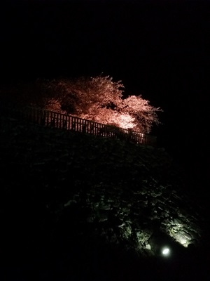 f:id:o-matusiro:20160409104109j:image