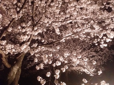 f:id:o-matusiro:20160409104110j:image