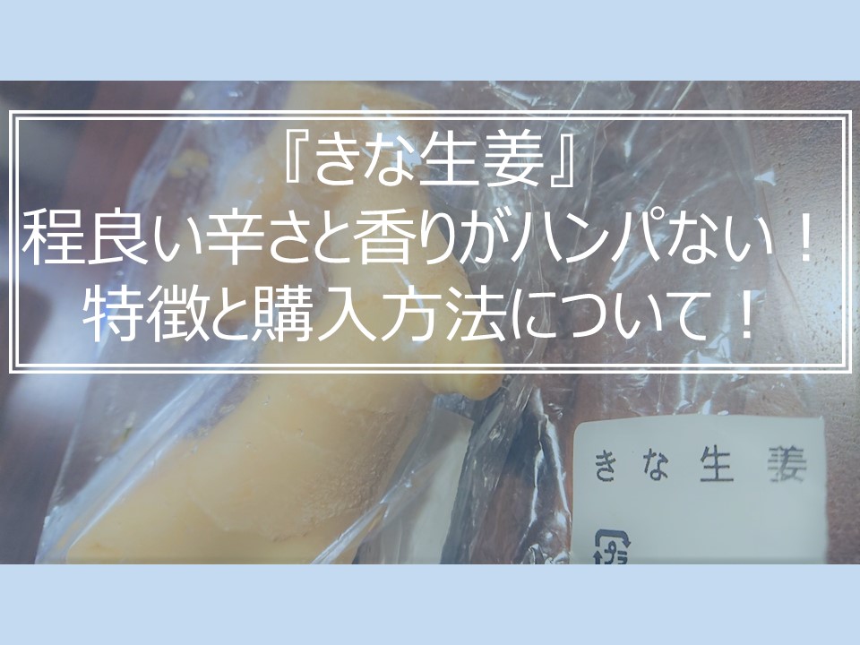 f:id:o-new:20200828013632j:plain f:id:o-new:20200828013632j:plain