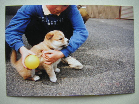 f:id:o-uiri:20080821151051j:image f:id:o-uiri:20080821151051j:image