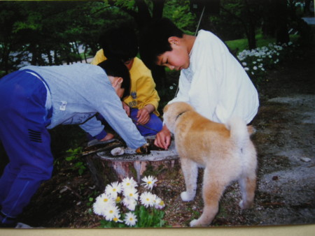 f:id:o-uiri:20080821151515j:image f:id:o-uiri:20080821151515j:image