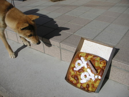f:id:o-uiri:20081202120802j:image