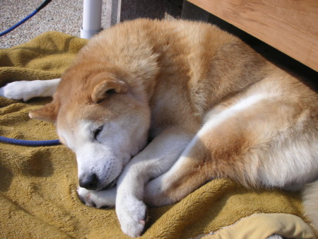 f:id:o-uiri:20090117132458j:image f:id:o-uiri:20090117132458j:image