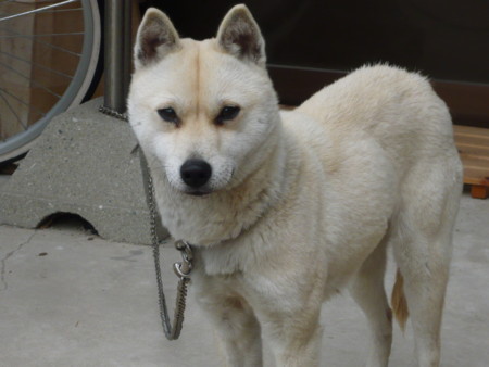 f:id:o-uiri:20090209132340j:image f:id:o-uiri:20090209132340j:image