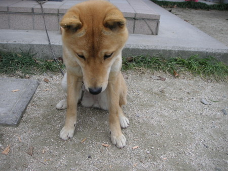 f:id:o-uiri:20090209133322j:image f:id:o-uiri:20090209133322j:image