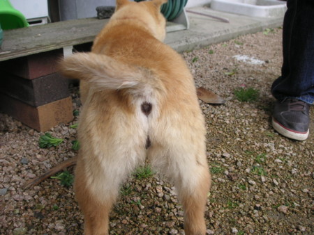 f:id:o-uiri:20090313131926j:image f:id:o-uiri:20090313131926j:image