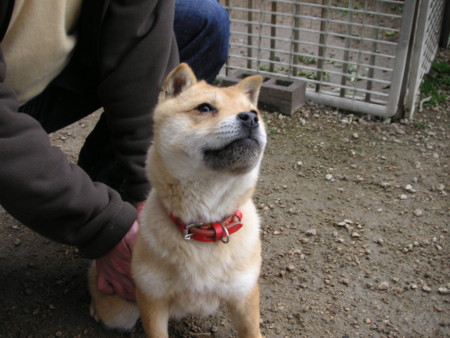 f:id:o-uiri:20090313132201j:image f:id:o-uiri:20090313132201j:image