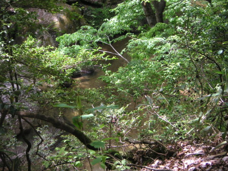 f:id:o-uiri:20090519130750j:image f:id:o-uiri:20090519130750j:image
