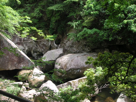 f:id:o-uiri:20090519131038j:image f:id:o-uiri:20090519131038j:image