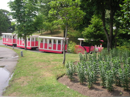 f:id:o-uiri:20090523102228j:image f:id:o-uiri:20090523102228j:image