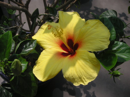 f:id:o-uiri:20090523103715j:image f:id:o-uiri:20090523103715j:image