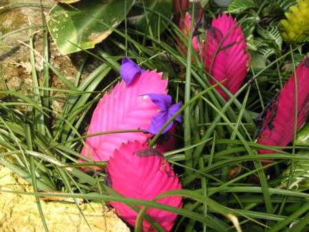 f:id:o-uiri:20090523103801j:image f:id:o-uiri:20090523103801j:image