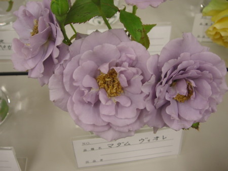 f:id:o-uiri:20090523104411j:image f:id:o-uiri:20090523104411j:image