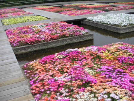 f:id:o-uiri:20090523114107j:image f:id:o-uiri:20090523114107j:image