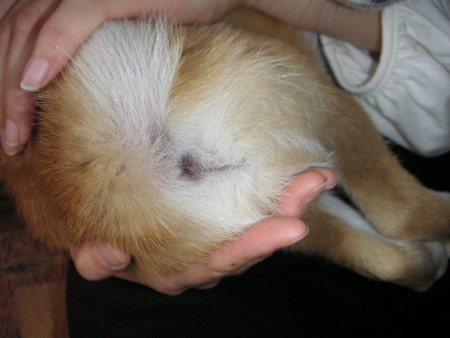 f:id:o-uiri:20090603093045j:image f:id:o-uiri:20090603093045j:image