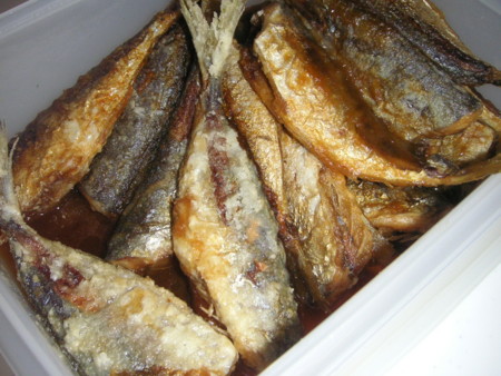 f:id:o-uiri:20090617155639j:image f:id:o-uiri:20090617155639j:image