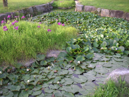 f:id:o-uiri:20090620063659j:image