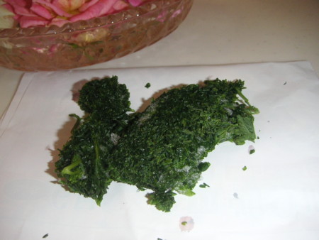 f:id:o-uiri:20090624094231j:image