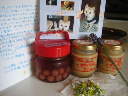f:id:o-uiri:20090624100953j:image f:id:o-uiri:20090624100953j:image
