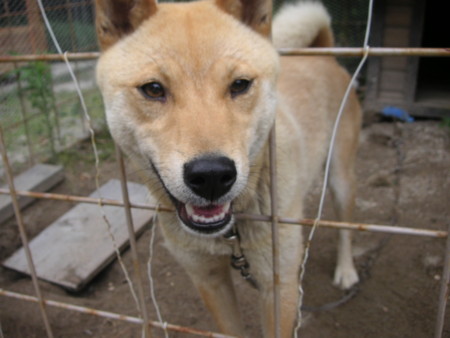 f:id:o-uiri:20090630141826j:image f:id:o-uiri:20090630141826j:image