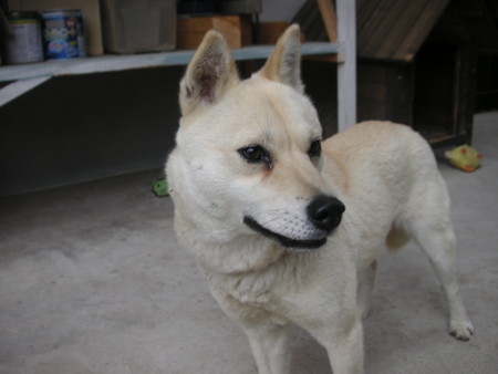 f:id:o-uiri:20090630141844j:image f:id:o-uiri:20090630141844j:image