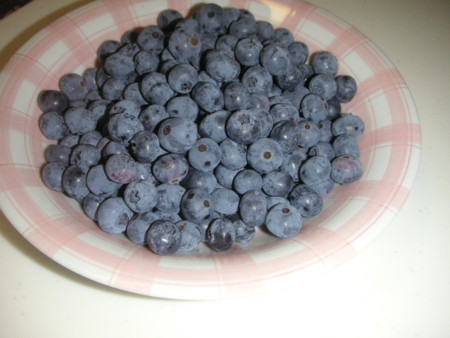 f:id:o-uiri:20090703162612j:image