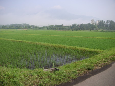 f:id:o-uiri:20090705081348j:image