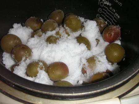 f:id:o-uiri:20090706170203j:image