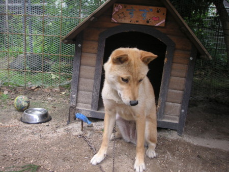 f:id:o-uiri:20090716135904j:image f:id:o-uiri:20090716135904j:image