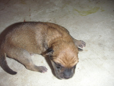 f:id:o-uiri:20090726131301j:image f:id:o-uiri:20090726131301j:image