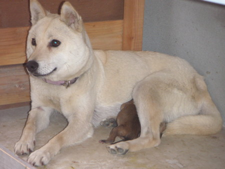 f:id:o-uiri:20090726132432j:image f:id:o-uiri:20090726132432j:image