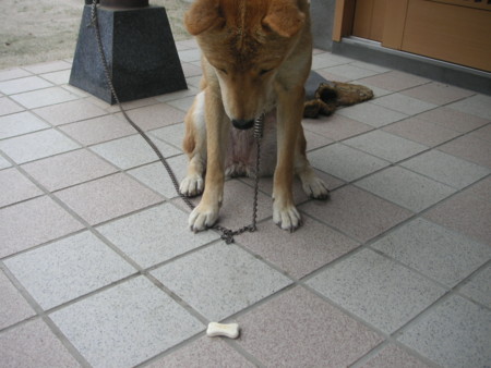 f:id:o-uiri:20090811142510j:image