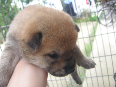 f:id:o-uiri:20090811143807j:image