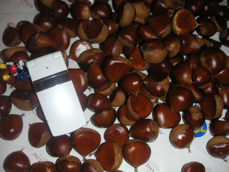 f:id:o-uiri:20090912182805j:image