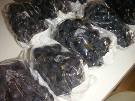 f:id:o-uiri:20090914085542j:image