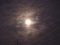 20091003182601